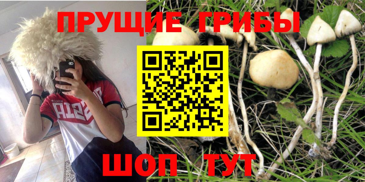 Галлюциногенные грибы GOLDEN TEACHER Павловский Посад